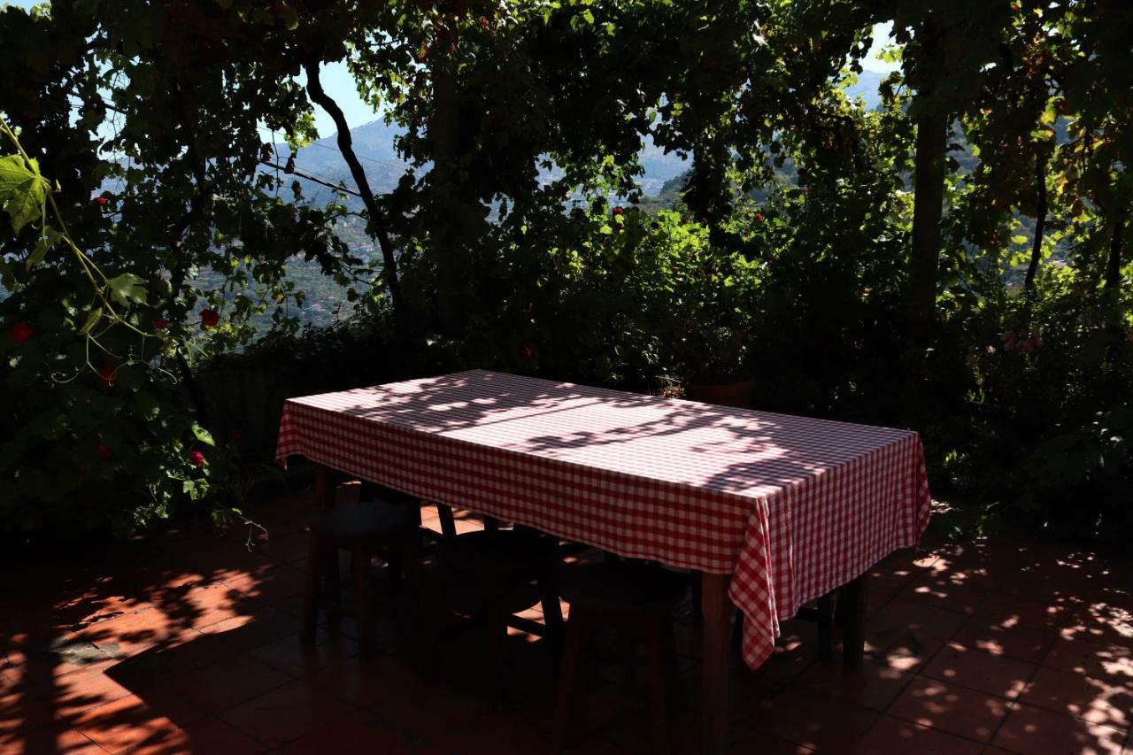 Casa De Sao Joao Das Castanheiras Resende Exteriör bild